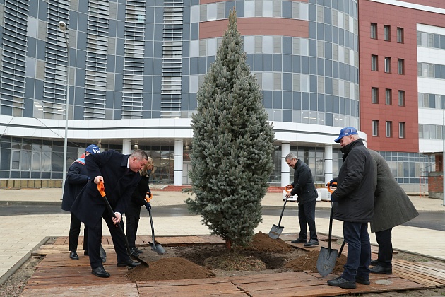 Андрей Бочаров и Сергей Горняков дали старт масштабному социально-экологическому проекту по высадке 50 тысяч деревьев